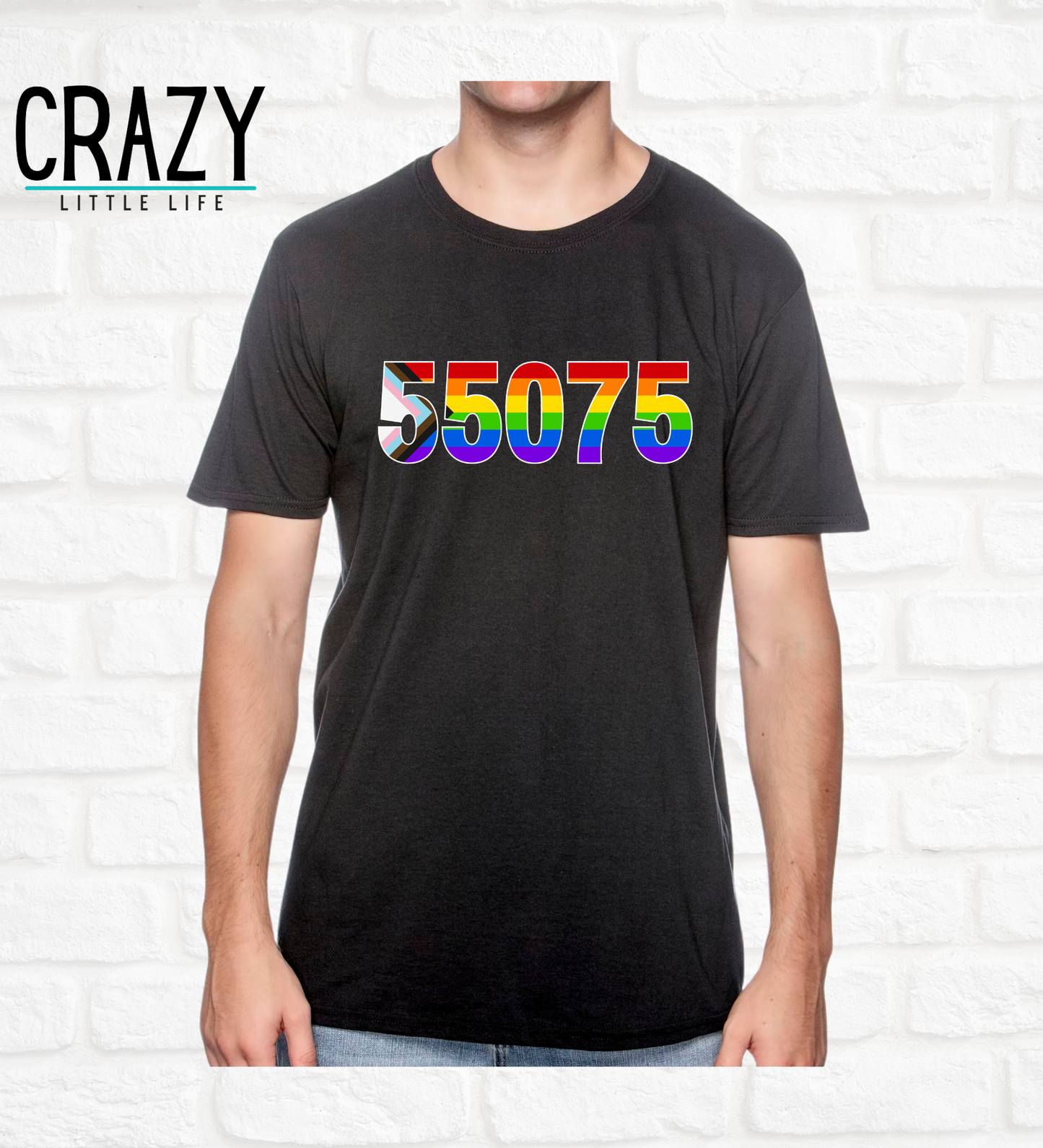 55075 LGBTQ+ Pride T-Shirt